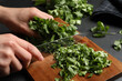 Woman cutting fresh green cilantro at black table, closeup