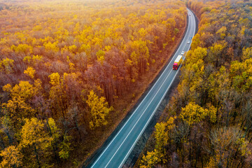 Wall Mural - red truck drives on an asphalt road along  the autumn forest. cargo transportation. Cargo delivery at Sunset. Top view. Drone photo