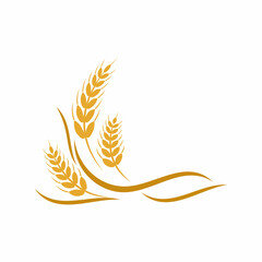 Agriculture wheat vector icon design