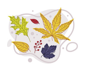 Sticker - Autumn Bright Foliage with Different Leaf Color Vector Composition