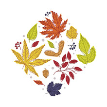 Rhombus Shape With Bright Autumn Foliage Of Different Leaf Color Vector Arrangement