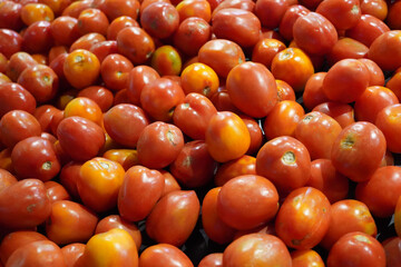 Wall Mural - Closeup shot of fresh tomatoes in the market