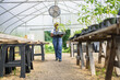 © Creative Flame - Female farmer carrying seedlings in greenhouse