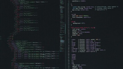 Wall Mural - developer software source code on monitor screen. writing script of software developer. program codi