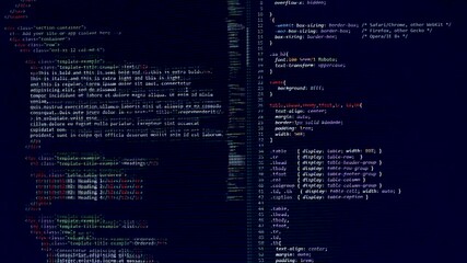 Wall Mural - developer software source code on monitor screen. writing script of software developer. program codi