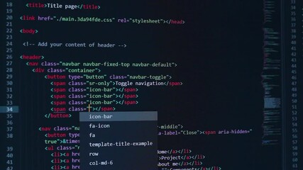 Wall Mural - developer software source code on monitor screen. writing script of software developer. program codi