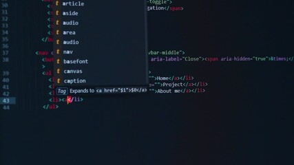 Wall Mural - developer software source code on monitor screen. writing script of software developer. program codi