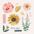 Rose and sunflower stickers pack vector