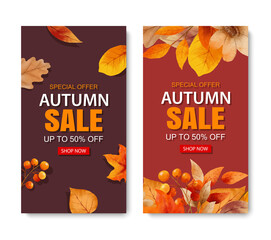 Wall Mural - autumn sale banner template background. autumn shopping sale with leaves and text.