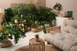 © New Africa - Living room interior with stylish furniture and different houseplants