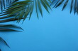 Green palm leaves on blue background, top view, frame of tropical leaves