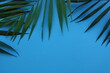 Green palm leaves on blue background, top view, frame of tropical leaves