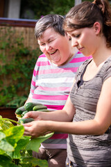 Wall Mural - mentally handicapped woman and a caregiver harvesting cucumbers from a raised bed