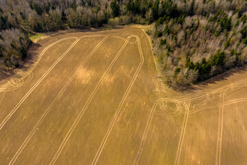 Poster - Aerial view of agricultural landscape with fields in spring season.