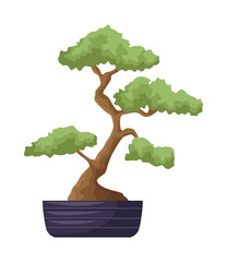 Canvas Print - japanese bonsai plant