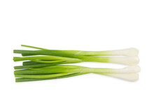 Spring green onion isolated on white background.