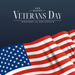 USA Veterans Day Poster. Vector Illustration. EPS10