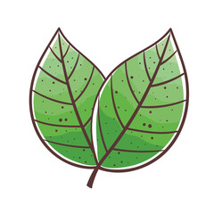 Sticker - Plant leaves icon