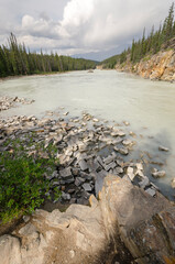 Wall Mural - Athabasca Falls in Alberta in Canada 