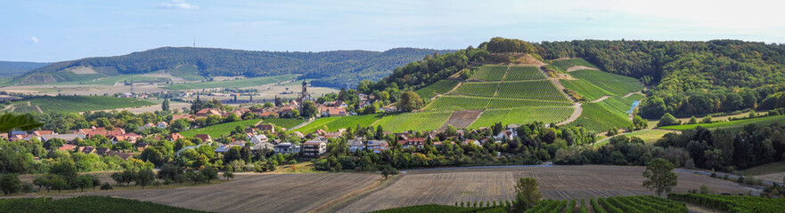 Sticker - Panoramic view of green rural  fields with houses surrounded by dense forests under blue sky