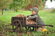 © Jacek - Child, boy 6 years old, harvesting walnuts, outdoor. Natural light.