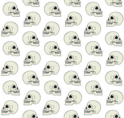Wall Mural - Vector seamless pattern of hand drawn doodle sketch colored human skull isolated on white background