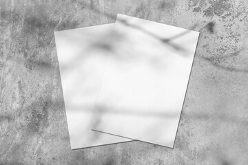 Two empty white rectangle poster or card mockups lying diagonally on top of each other with soft tree leaves and branches shadows on neutral light grey concrete wall background. Flat lay, top view