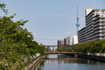 Wall Mural - 江東区の大栄橋から見た大横川沿いの景色