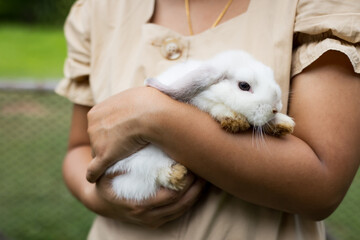 Wall Mural - Asian woman holding and carrying cute rabbit with tenderness and love. Friendship with cute easter bunny. Happy rabbit with owner.