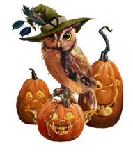 The Owl In The Magic Hat And Her Pumpkins Friends