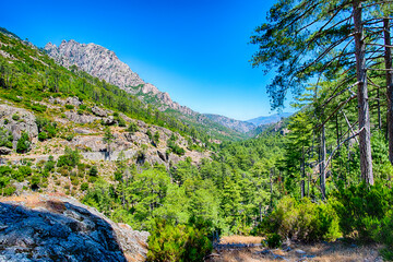 restonica tal korsika - flusswandern -corte