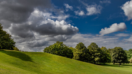 Wall Mural - Parklandschaft