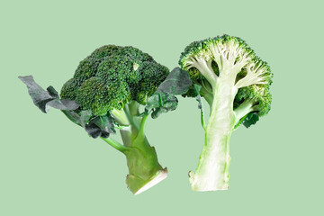 Wall Mural - Fresh green broccoli on color background. Organic food.