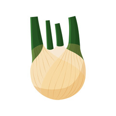 Sticker - Flat Fennel Illustration