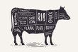 Cut of beef. Butcher diagram and scheme. Cow vintage typographic vector illustration