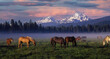 Sunrise with horses on a foggy Black Butte Ranch madow with the Three Sisters mountains in the background