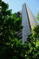 Green and tall & futuristic office building1
surrounded by green woods, blue sky, new metropolitan district, sustainable area.