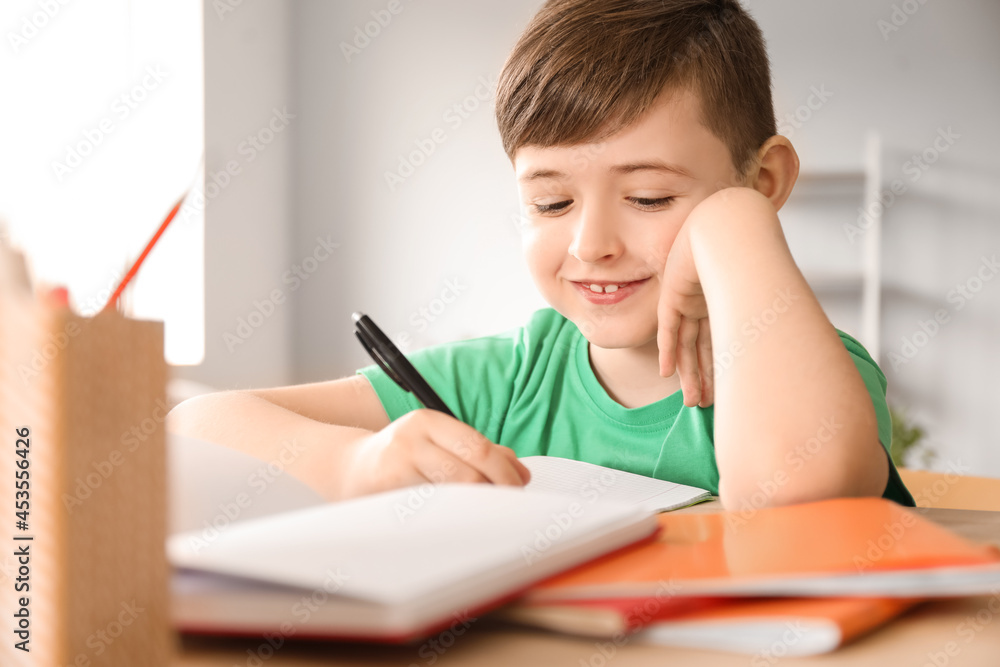 Little boy studying at home