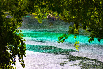 Wall Mural - Rainy day at Rainbow Springs State Park in Florida