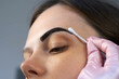© familylifestyle - Cosmetologist is painting woman's eyebrows in cosmetology clinic, closeup view. Aligns the contour with a cotton swab. Beauty procedure for woman in beauty salon.