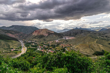 Canvas Print - Blooming wild rose hips and mountain landscape in the Middle East