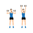 Woman doing Dumbbell overhead shoulder press exercise. Flat vector illustration isolated on white background