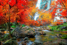 Amazing In Nature, Beautiful Waterfall At Colorful Autumn Forest In Fall Season	