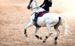 A young girl  riding a white horse on the sports arena.