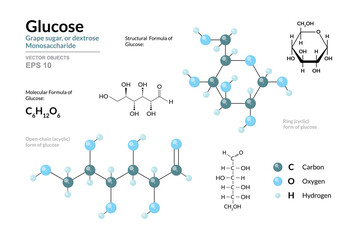 Glucose. Grape Sugar or Dextrose. Monosaccharide. Cyclic and Open Chain Form of Glucose. C6H12O6. Structural Chemical Formula and Molecule 3d Model. Atoms with Color Coding. Vector Illustration