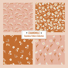 Set Of Floral Vector Seamless Pattern With Chamomile Flowers. Good For Print, Wallpaper And Fashion. 