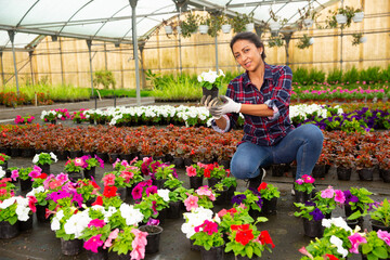 Portrait of cheerful woman florist holding potted flowers in orangery