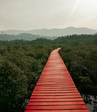 The Red Bridge Walkway In Koh Chang. Adventure And Tourism For Leisure Trips, Field Trips, And Relaxation In Nature. Travel Vacations.