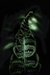 Leinwandbild Motiv close up of green fern leaves on dark background