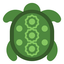 Green Shell Turtle, Illustration, Vector, On A White Background.